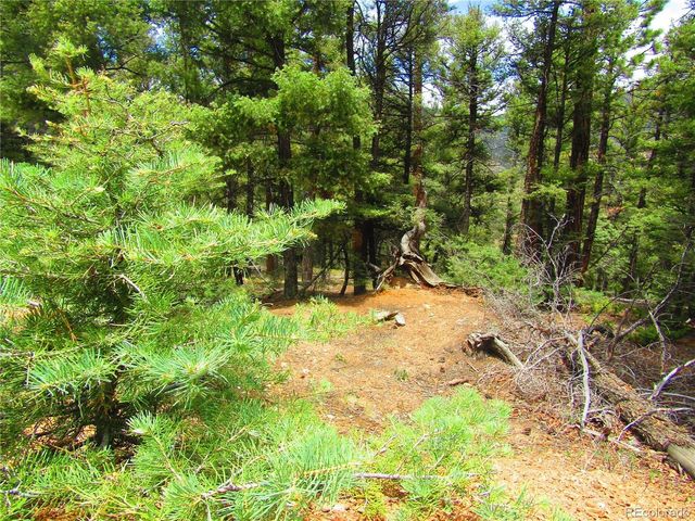 6029 Spruce Rd, San Luis, CO 81152
