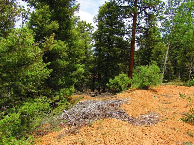 6029 Spruce Rd, San Luis, CO 81152