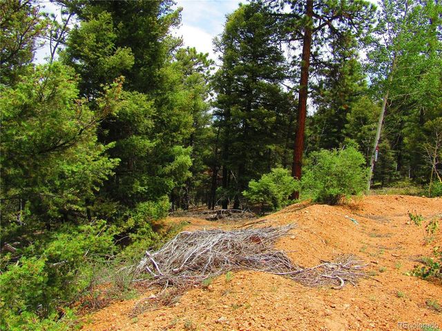 6029 Spruce Rd, San Luis, CO 81152