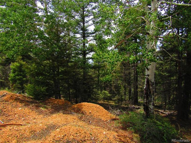 6029 Spruce Rd, San Luis, CO 81152