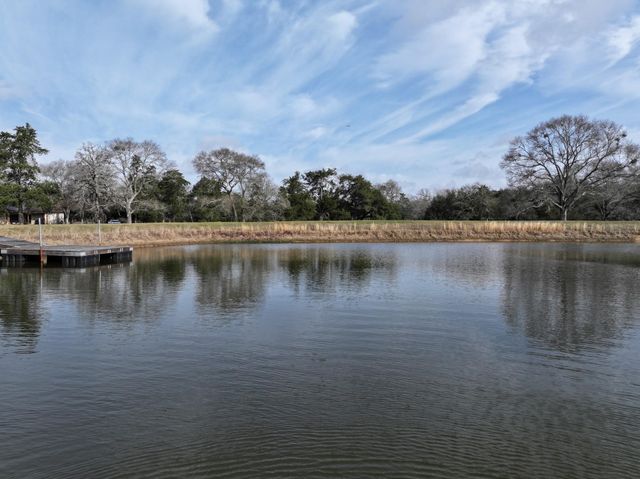 1094 Dunlavy Road, Cat Spring, TX 78933