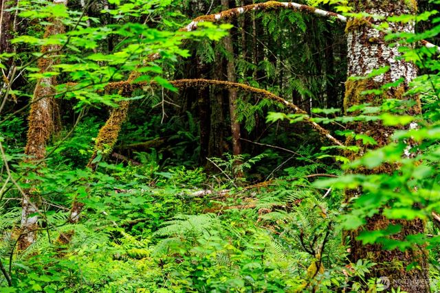 129 Valley View Lane, Brinnon, WA 98320