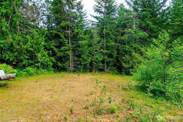 129 Valley View Lane, Brinnon, WA 98320