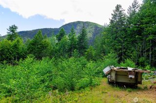 129 Valley View Lane, Brinnon, WA 98320