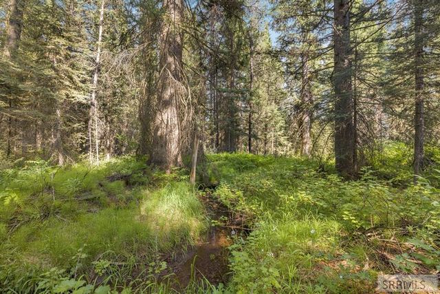 3541 Browning Road, Island Park, ID 83429