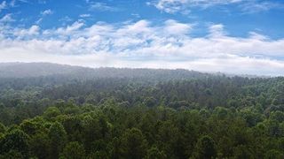 1054 Mount Sinai Road, Lula, GA 30554