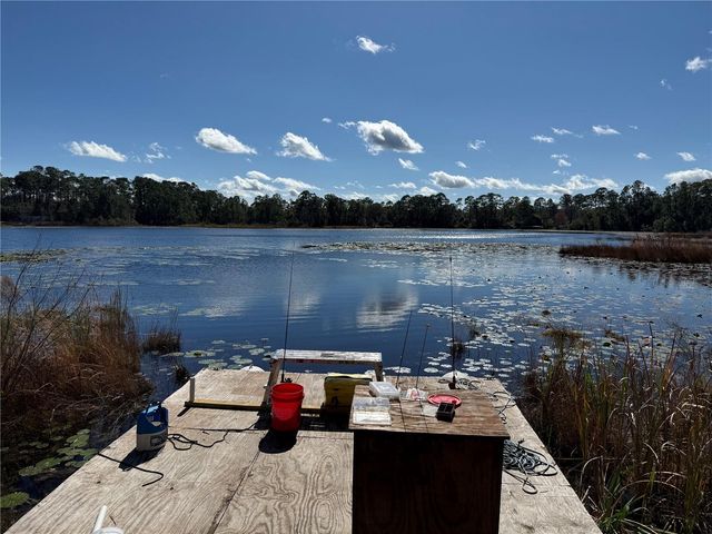 27834 VEVA AVENUE, Paisley, FL 32767