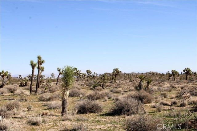 40 La Brisa Drive, Yucca Valley, CA 92284