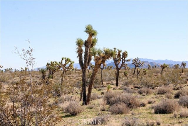 40 La Brisa Drive, Yucca Valley, CA 92284