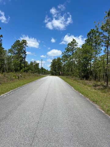 NW AMBERJACK AVENUE Lot #33, Dunnellon, FL 34431