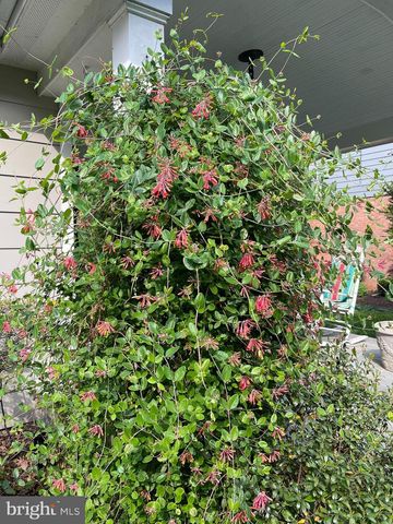 11011 MONTROSE AVE, Garrett Park, MD 20896