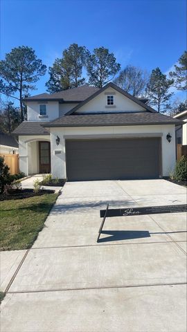 29969 Stony Forest Drive, Magnolia, TX 77354