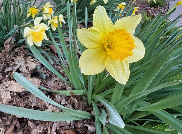 621 24th Avenue, Moline, IL 61265