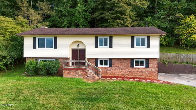 904 South Sherbrooke Circle, Mount Carmel, TN 37645
