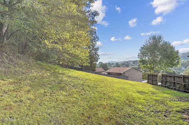 904 South Sherbrooke Circle, Mount Carmel, TN 37645