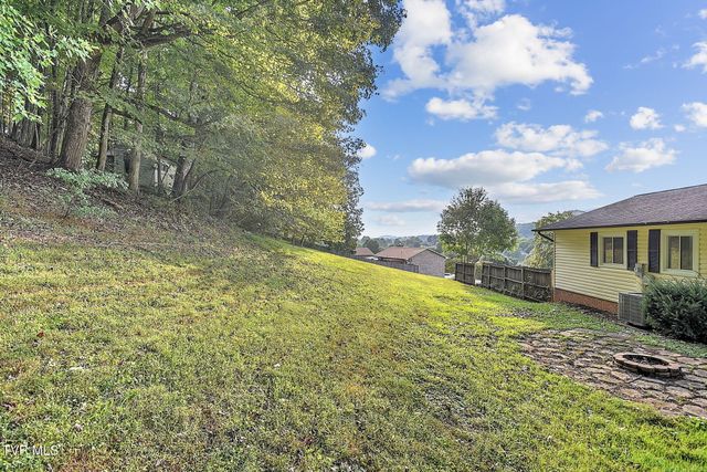 904 South Sherbrooke Circle, Mount Carmel, TN 37645