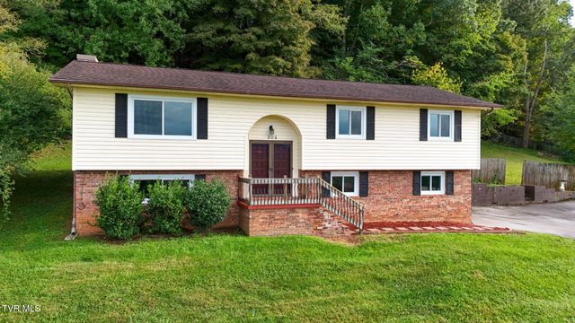 904 South Sherbrooke Circle, Mount Carmel, TN 37645