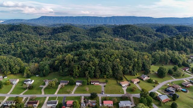 904 South Sherbrooke Circle, Mount Carmel, TN 37645