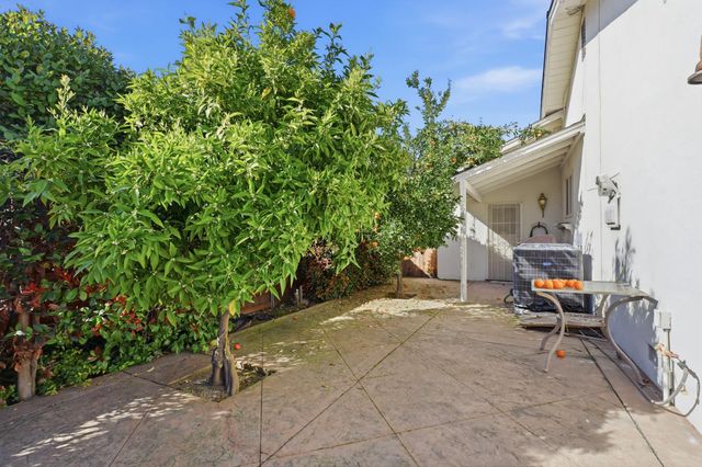 8142 Treecrest Ave, Fair Oaks, CA 95628