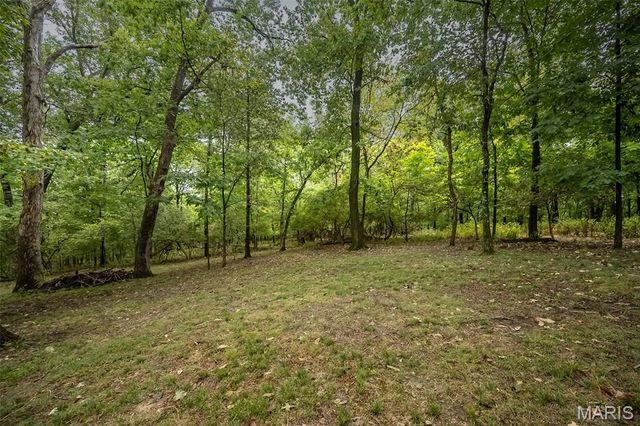 1471 Wilton Lane, Kirkwood, MO 63122