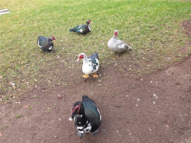 104 KELLY THOMAS WAY, Daytona Beach, FL 32124