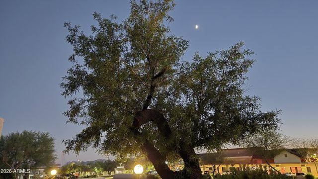 16616 E PALISADES Boulevard 109, Fountain Hills, AZ 85268