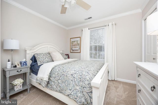 104 HORSETAIL CT, Fruitland, MD 21826