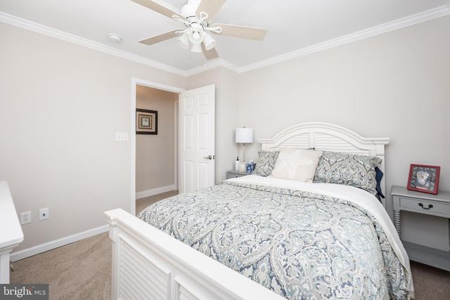 104 HORSETAIL CT, Fruitland, MD 21826