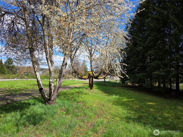 175 Stevens Road, Doty, WA 98532