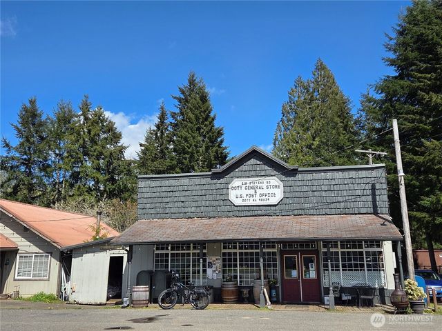 175 Stevens Road, Doty, WA 98532