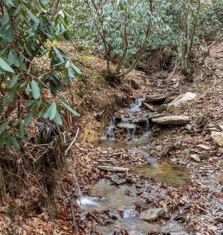 741 S Toe River Road, Burnsville, NC 28714