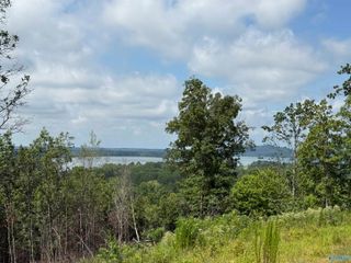 Lot 5 County Road 1022 #5, Cedar Bluff, AL 35959