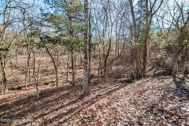 11306 Waterview Pl, Louisville, KY 40291