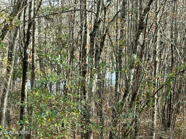 341 Dwyer Drive, Crossville, TN 38572