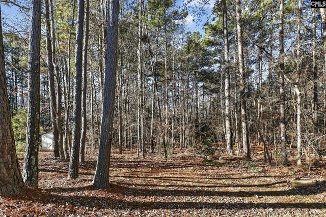 23 Lowescroft Circle, Irmo, SC 29063