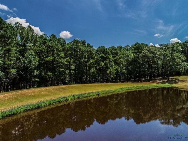 1903 FM 134, Jefferson, TX 75657