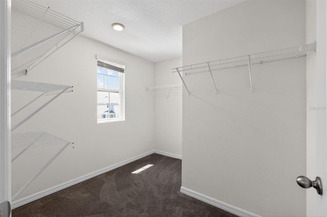 451 SUNLIT CORAL STREET, Ruskin, FL 33570