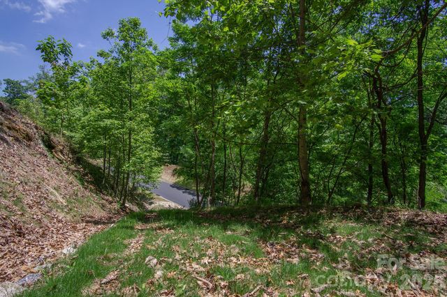 lot 53R Mills River Way Lot 53R, Horse Shoe, NC 28742