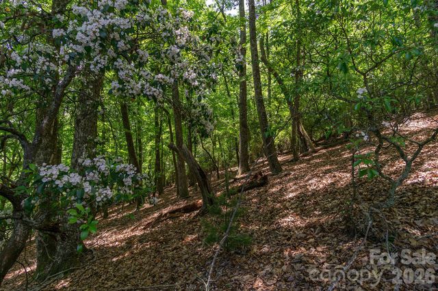 lot 53R Mills River Way Lot 53R, Horse Shoe, NC 28742