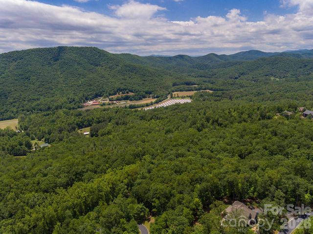 lot 53R Mills River Way Lot 53R, Horse Shoe, NC 28742