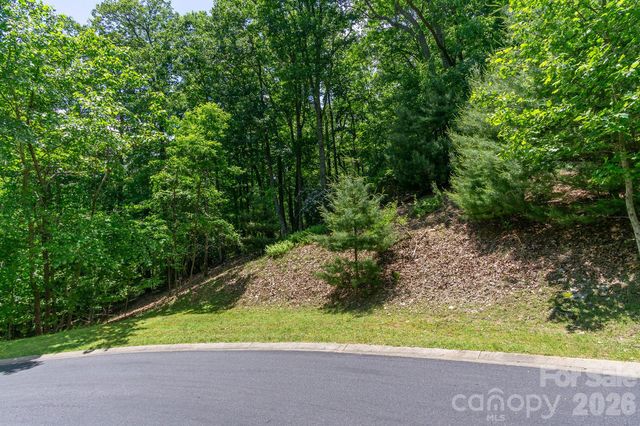 lot 53R Mills River Way Lot 53R, Horse Shoe, NC 28742