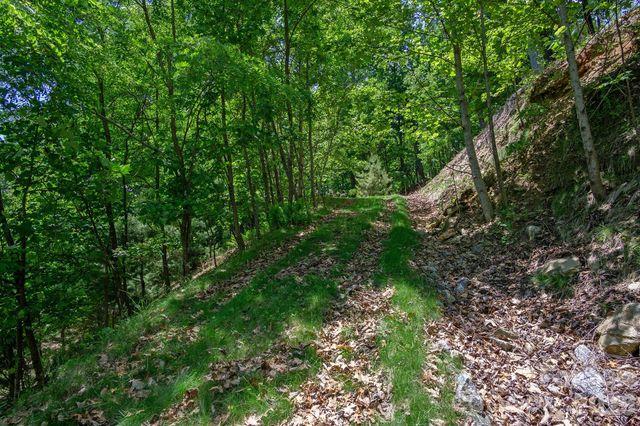 lot 53R Mills River Way Lot 53R, Horse Shoe, NC 28742