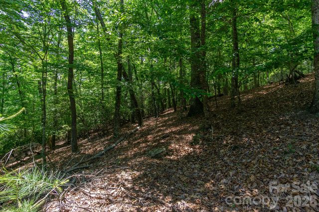 lot 53R Mills River Way Lot 53R, Horse Shoe, NC 28742