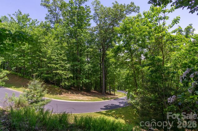 lot 53R Mills River Way Lot 53R, Horse Shoe, NC 28742