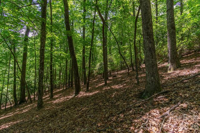lot 53R Mills River Way Lot 53R, Horse Shoe, NC 28742