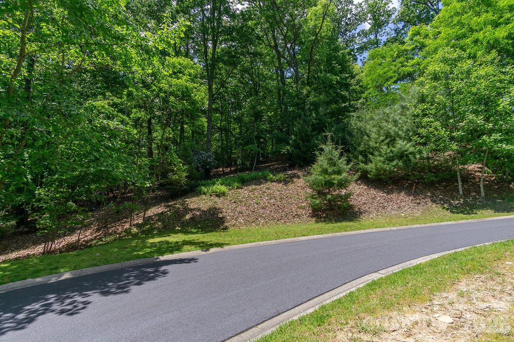 lot 53R Mills River Way Lot 53R, Horse Shoe, NC 28742
