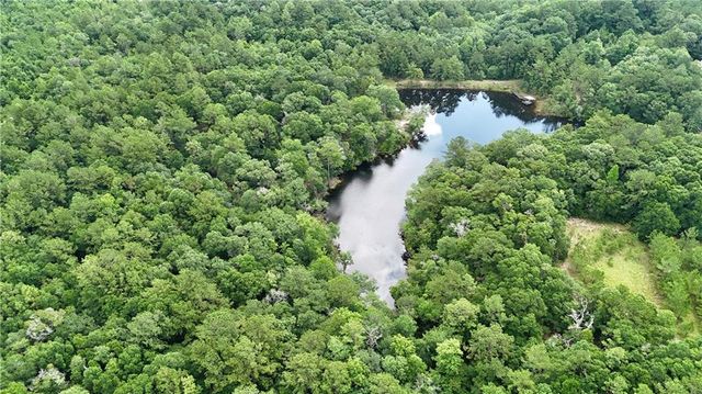 11375 Spring Lake E Road, Chunchula, AL 36521