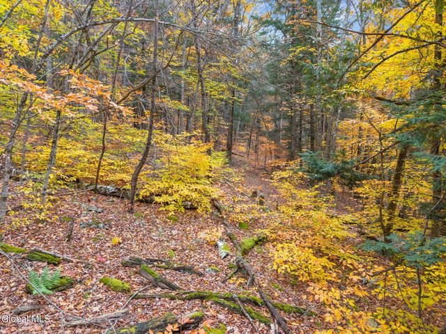 1083 Westkill Road, Jefferson, NY 12093