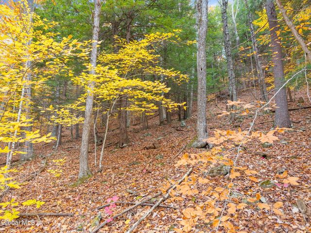 1083 Westkill Road, Jefferson, NY 12093