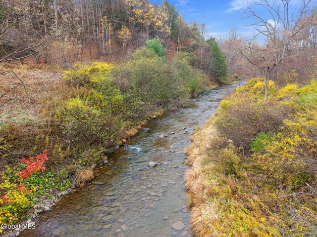 1083 Westkill Road, Jefferson, NY 12093